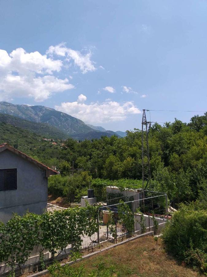 Apartment Davidovic Τίβατ Εξωτερικό φωτογραφία